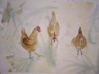 Watercolour Chickens 