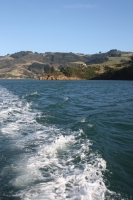Wake