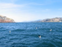 Looking towards the mainland